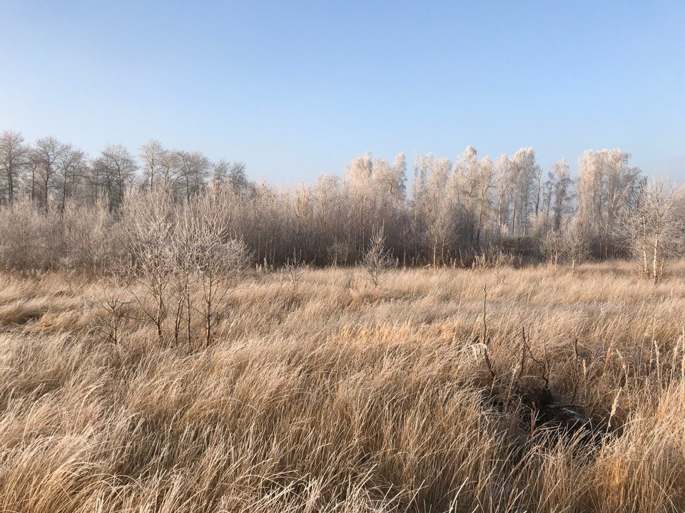 Фото Эко-парк Лазурный