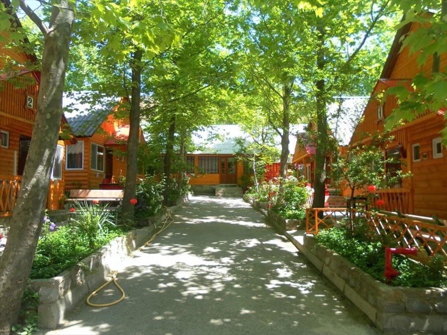 Фото Солнечное Море