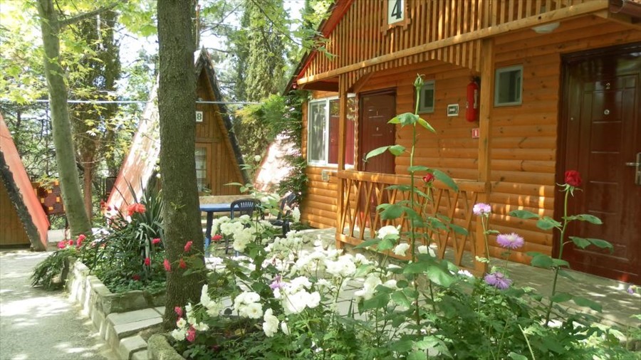 Фото Солнечное Море