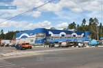Невок (Tsentralny Microdistrict, ulitsa Gorkogo, 33), shopping mall