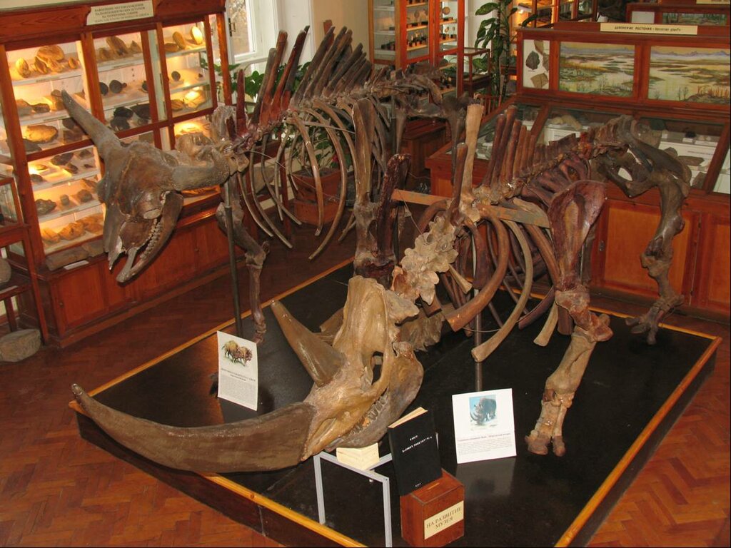 Museo Mineralogichesky muzey imeni I. K. Bazhenova, , foto