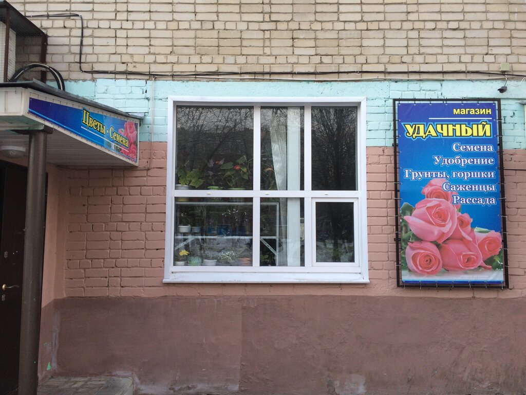 Магазин Удачный Семена