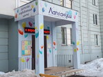 Лапландия - Детский развивающий центр (ул. 43-й Армии, 15, Подольск), центр развития ребёнка в Подольске