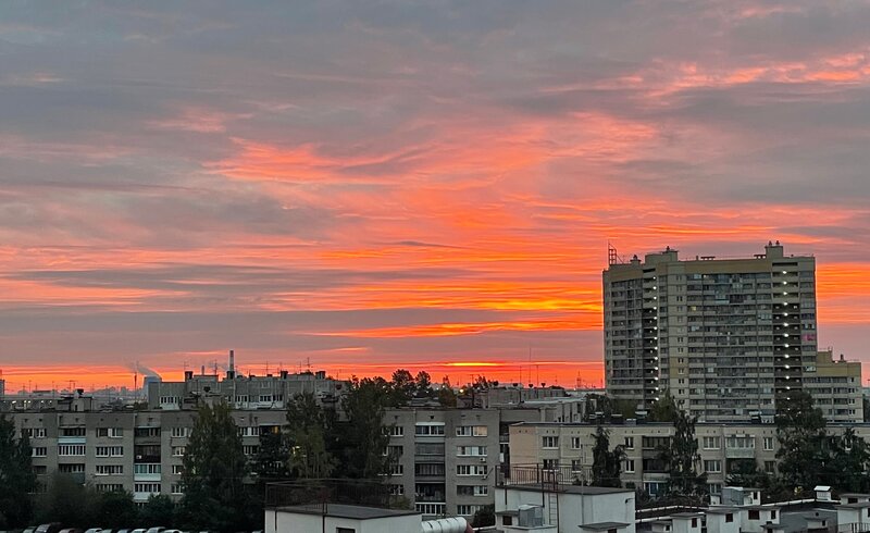 Еркектерін жұлқыған қарттар