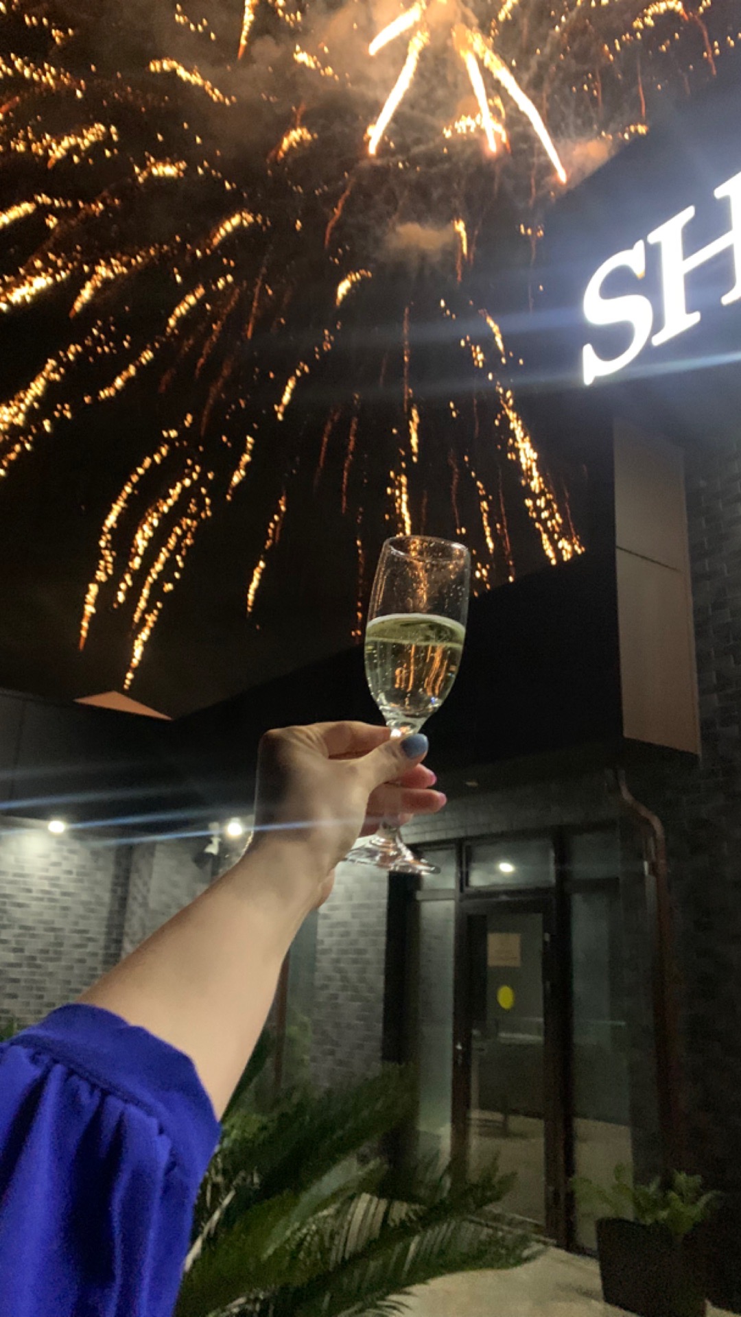 Фото Шанти Палас