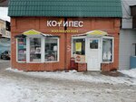 Kot i Pes (Dovatora Street, 2А), tienda de animales