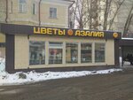 Азалия (Komsomolskiy Avenue, 58с1), floristeria
