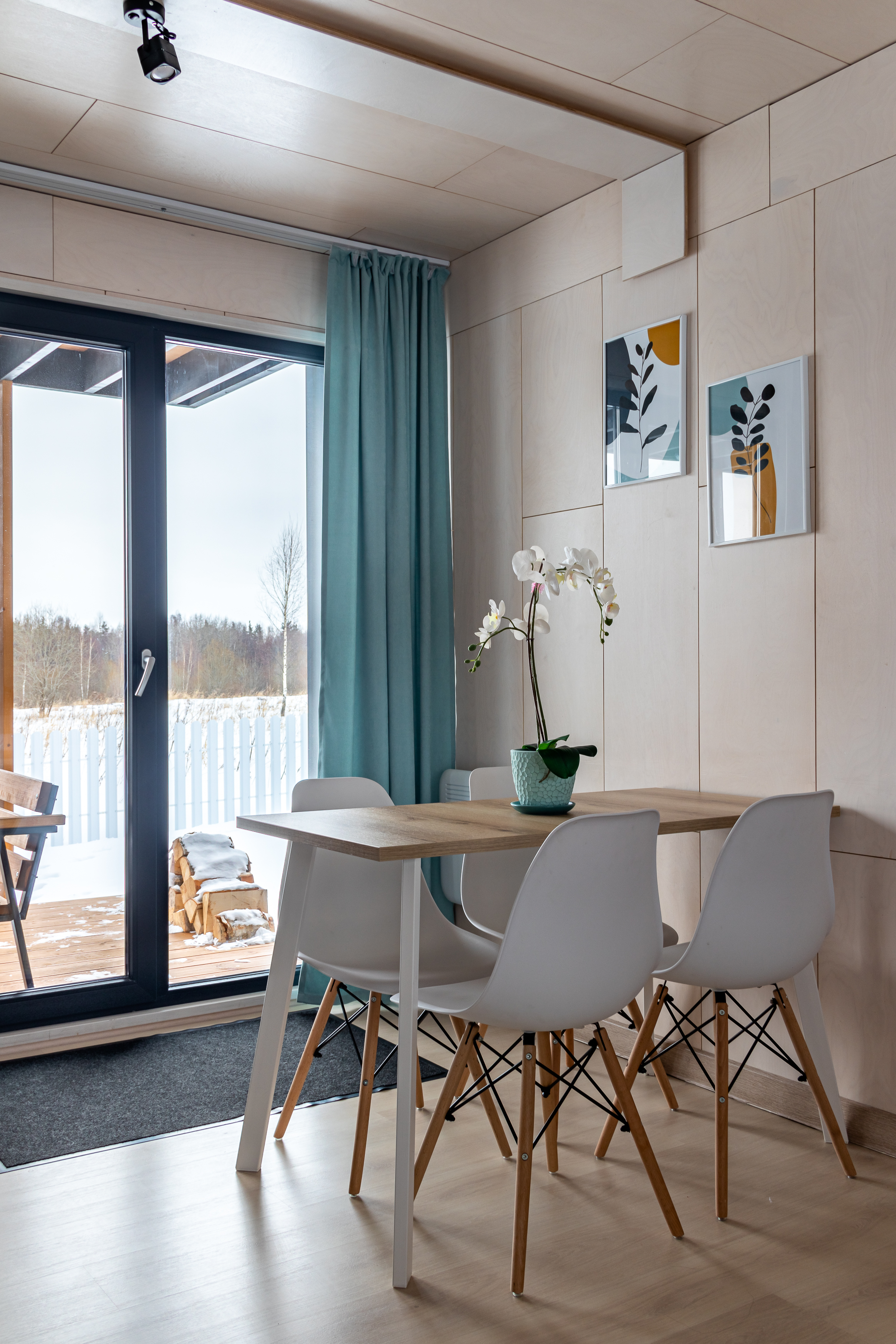 Фото Зеленый лес