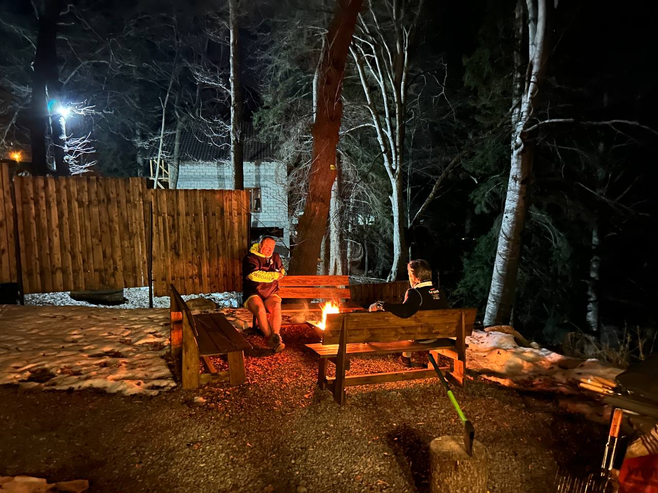 Фото Ягодный тис