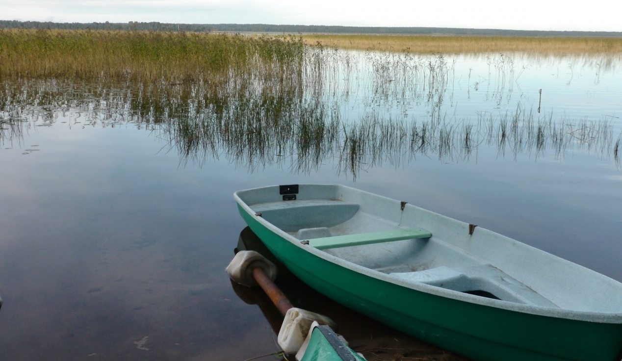 Фото Розовая дача