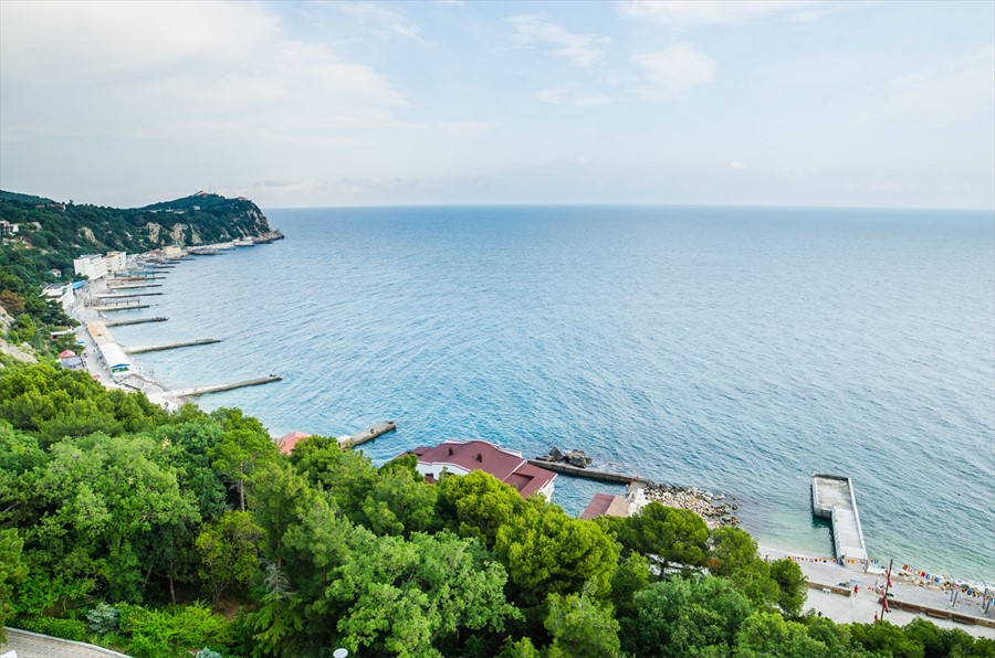 Фото Сосновая роща