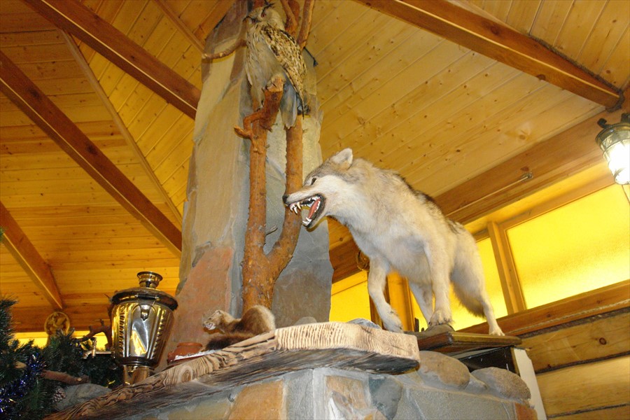 Фото Усадьба Терема