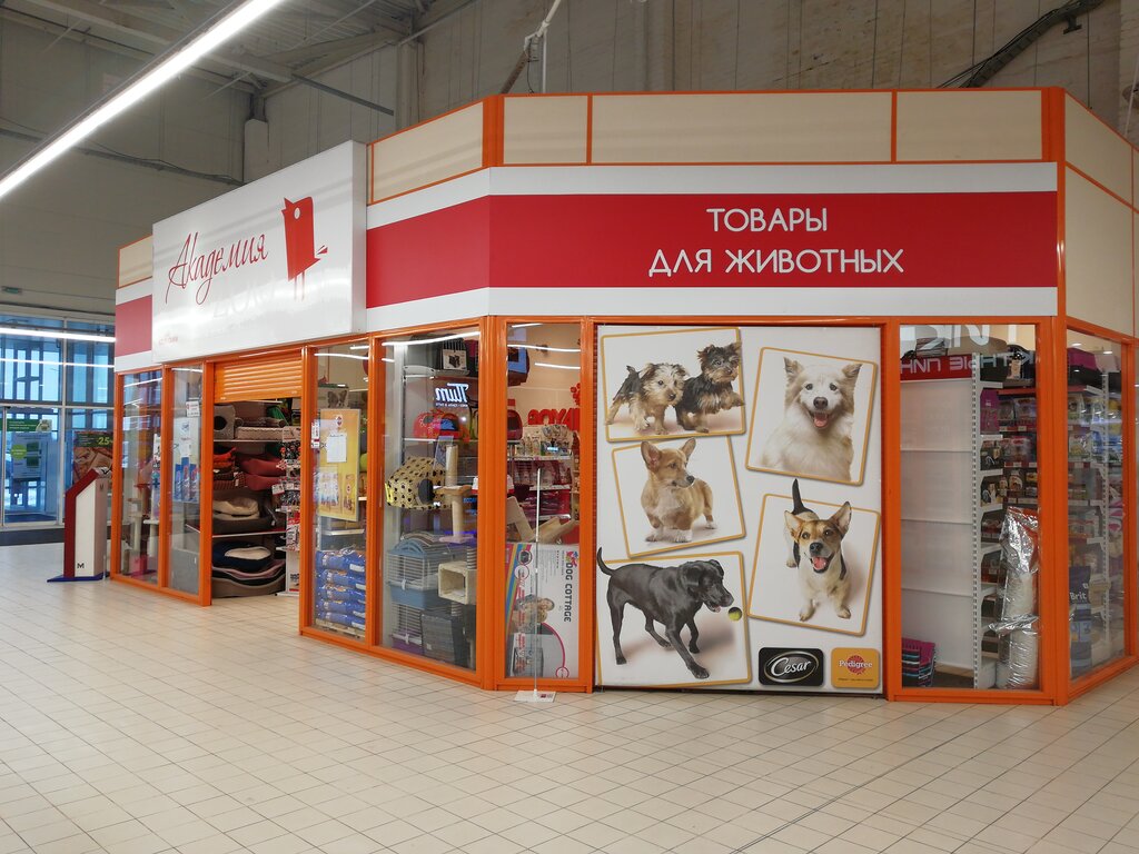 Акпп юг волгоград землячки