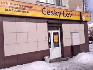 Cesky lev (ulitsa Uritskogo, 10/63), cervecería