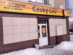 Cesky lev (ulitsa Uritskogo, 10/63), beer shop