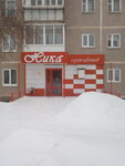 Ника (ulitsa Lenina, 72/4), flower shop