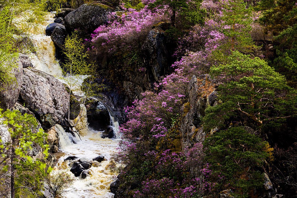 Фото Гостиница Артыбаш