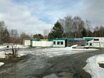 Avtokompleks U mamonta (Sovetskiy City Administrative District, Akademgorodok Microdistrict, Akademika Lavrenteva Avenue, 17А) ، ورشة لتصليح السيارات
