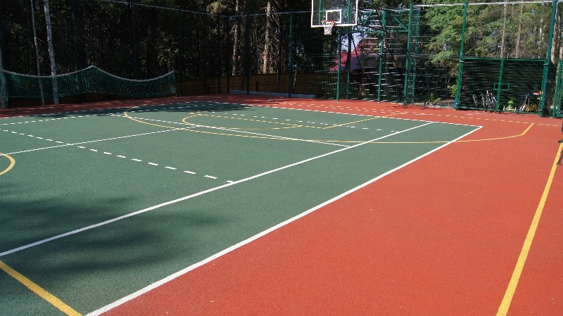 Фото Берёзовая роща