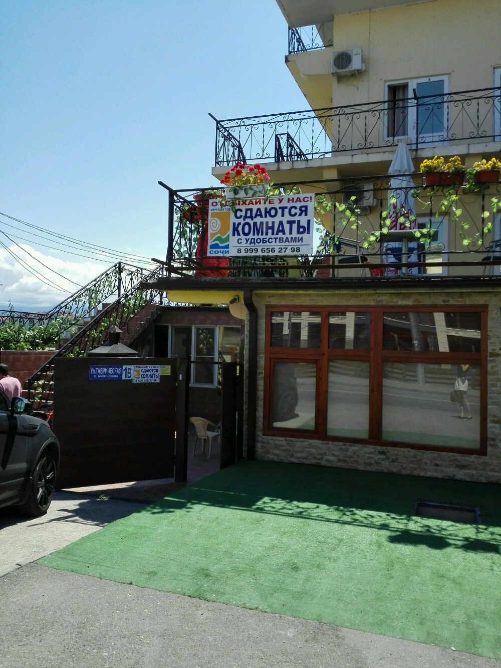 Фото Дельфин