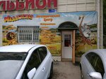Madagaskar (prospekt imeni 50 let Oktyabrya, 69В), logopedas