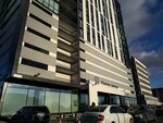Qlever (Sofiyskaya Street, 6к8), it company