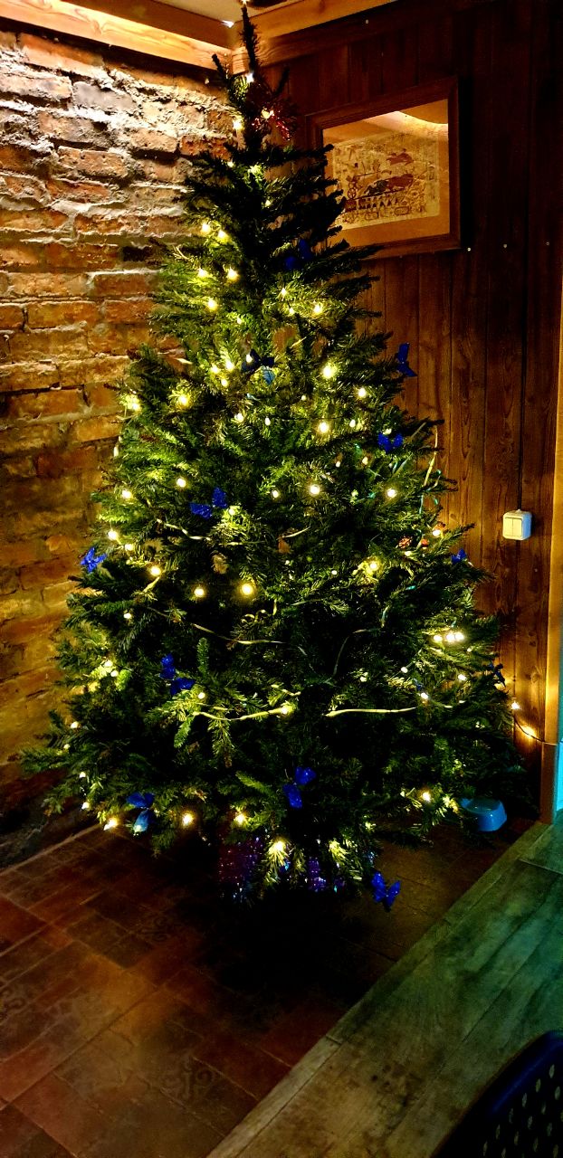 Фото Дикая Вишня