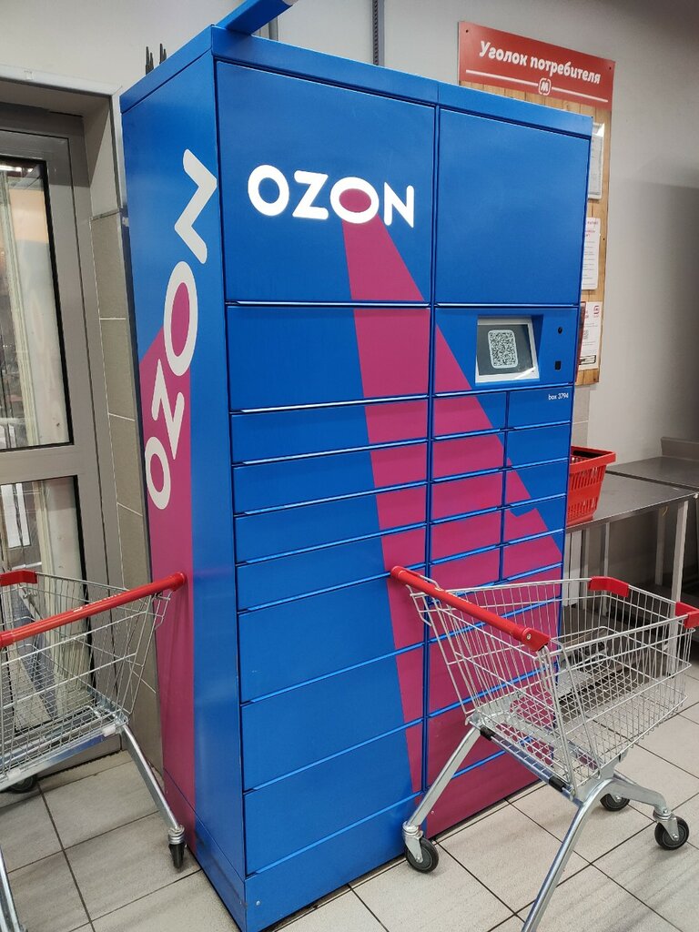 Parcel automat Ozon Box, Domodedovo, photo