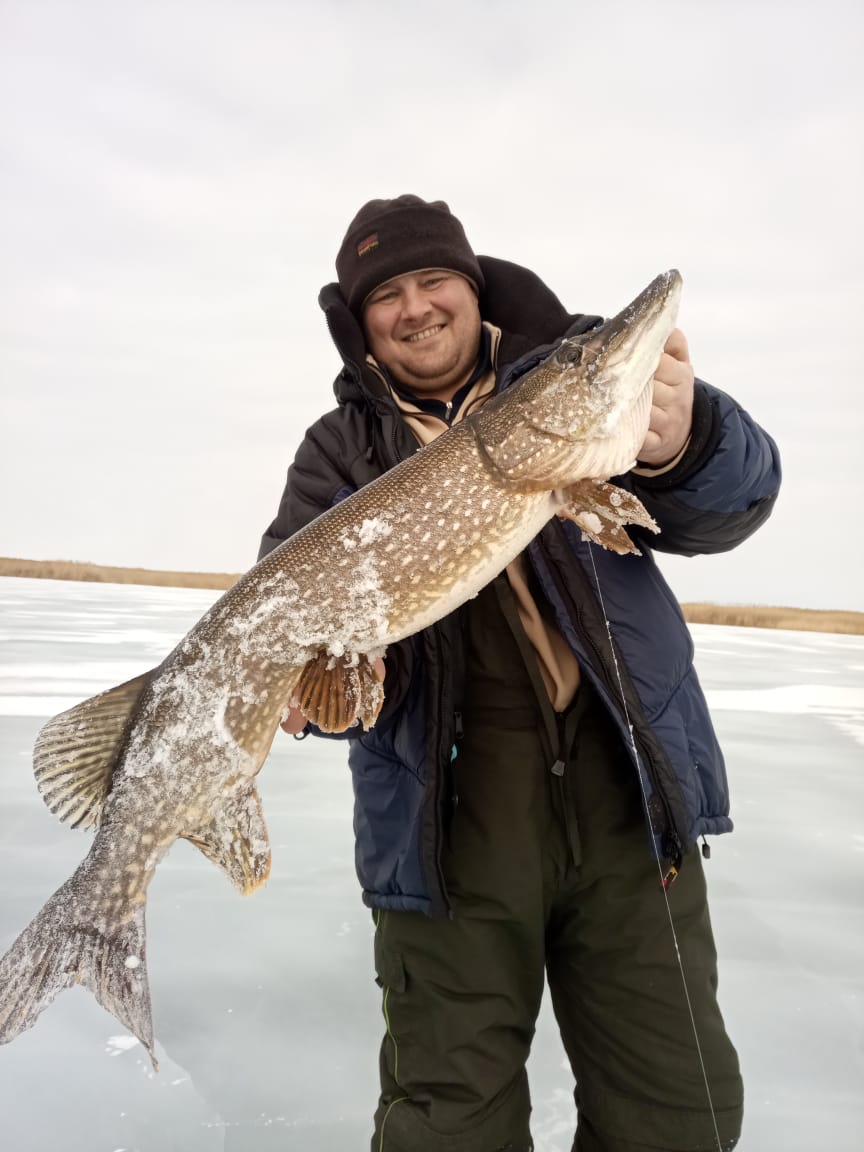 Фото Золотое