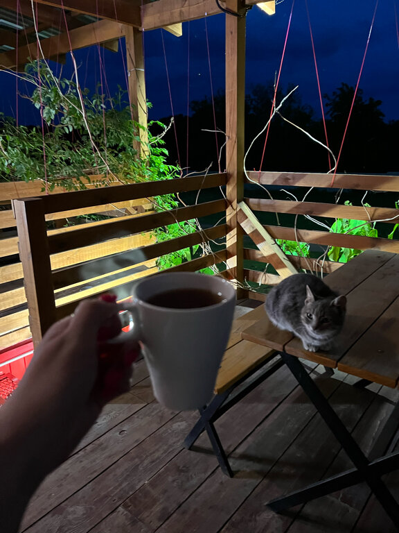 Фото Добрыня