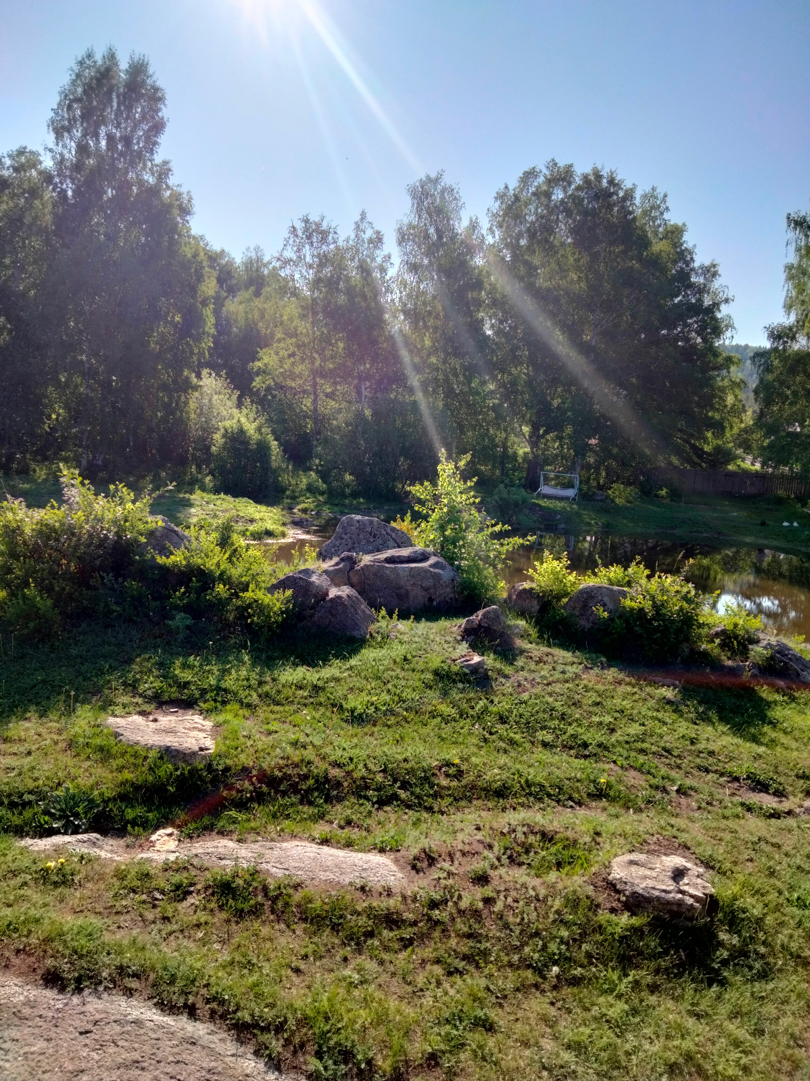 Фото Медная Сова