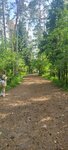 Муниципальный центр Управления Регионом Городского Округа Балашиха (Lenina Avenue, 7/1), administración