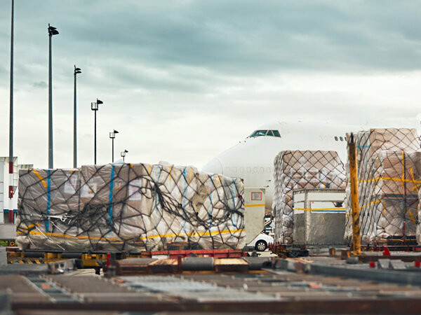 Logistics company Hosary Cargo, Dubai, photo