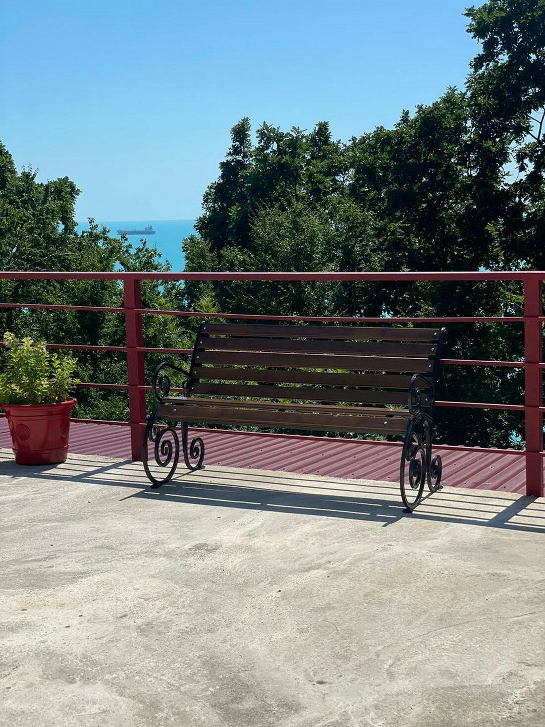 Фото Багира