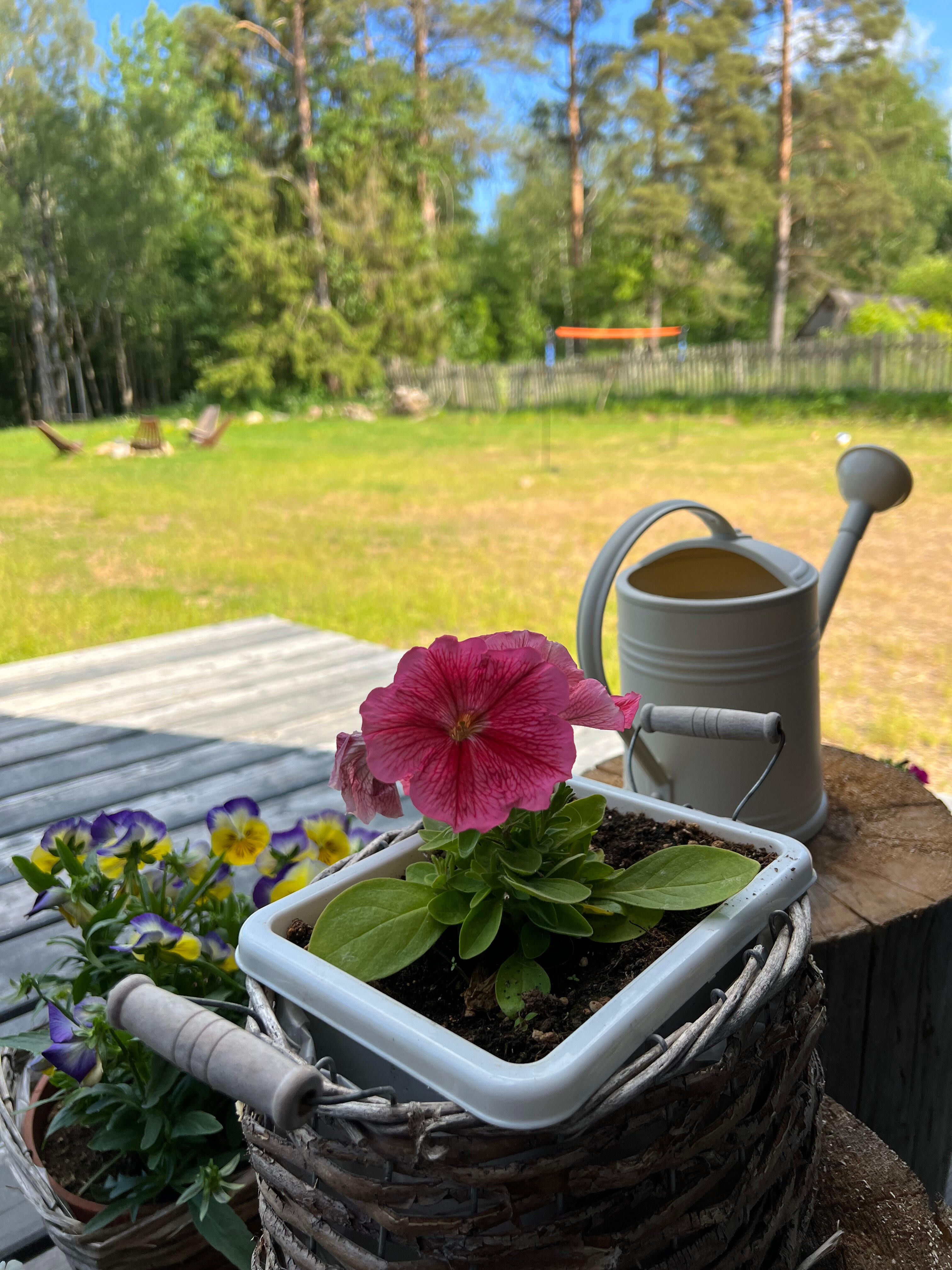 Фото Aframe на Валдае