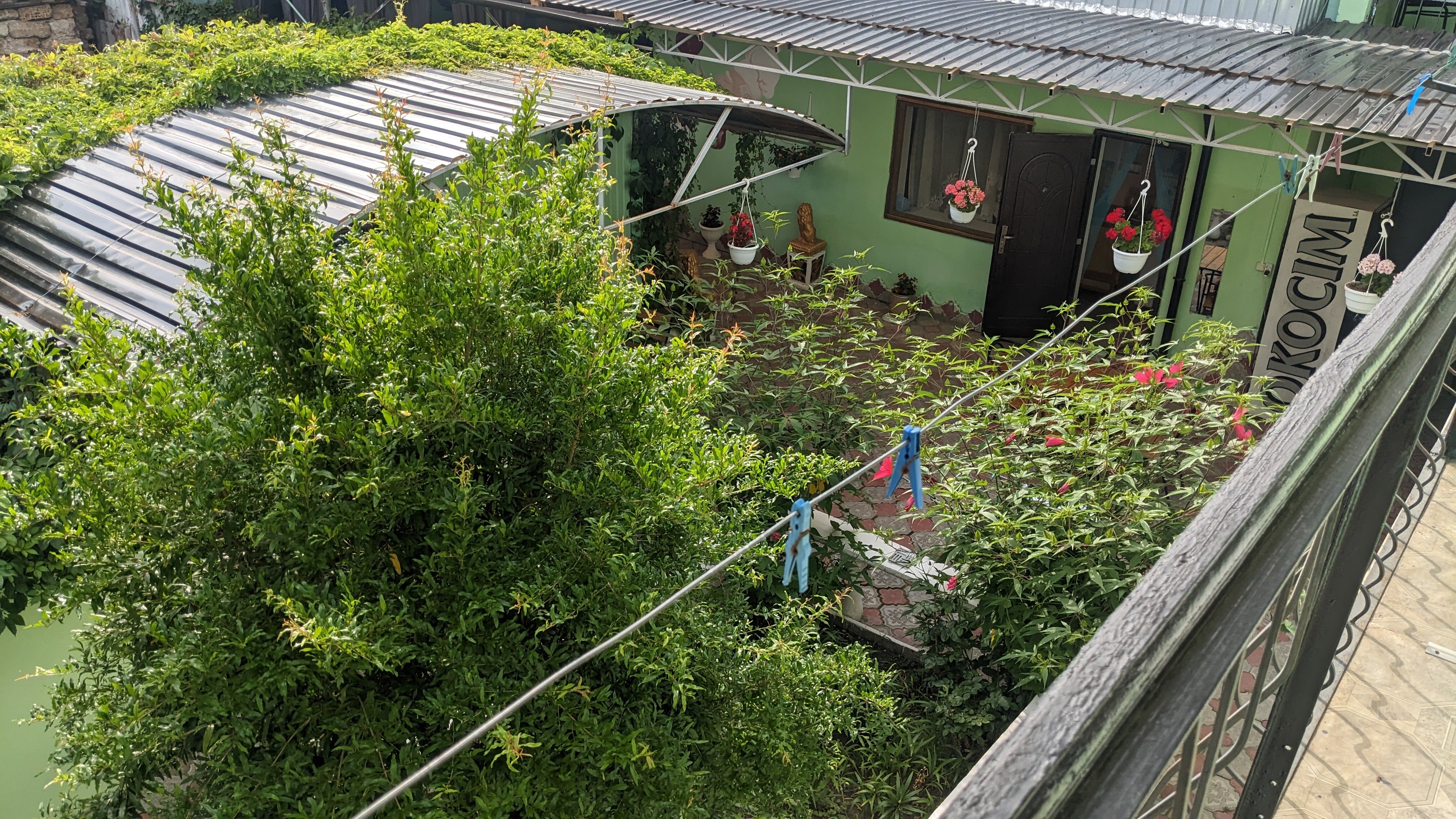 Фото Сильвия