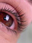 Lamistar (Yuzhniy Administrative Okrug, Chertanovo Severnoye District, Severnoye Chertanovo Microdistrict, 4к403), eyebrow and eyelash salon