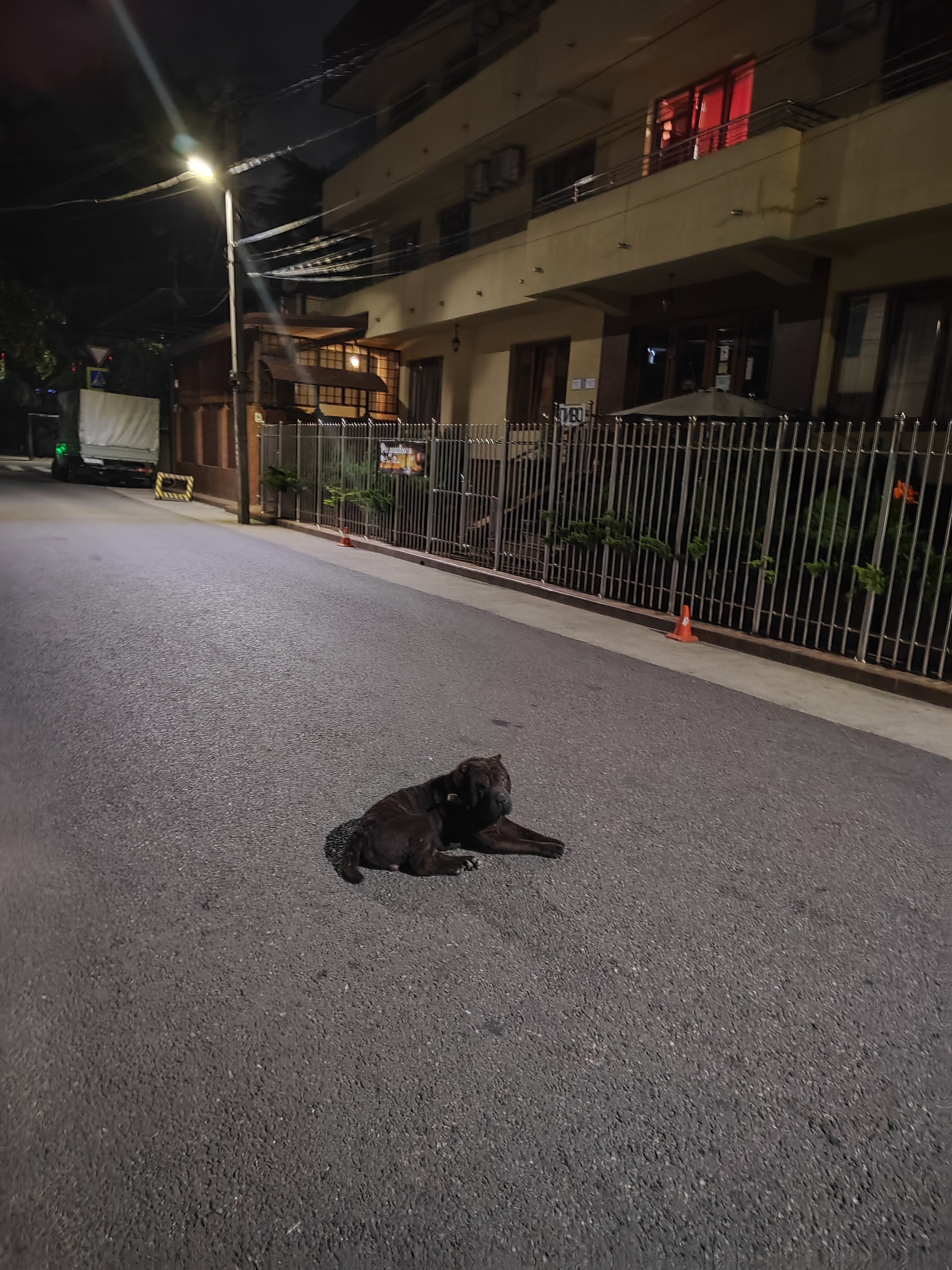 Фото Светлячок