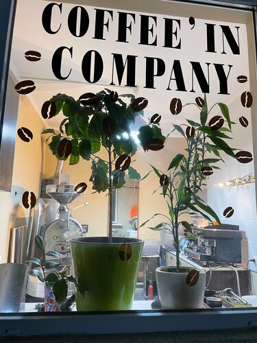 Coffee In Guest House  фото 4
