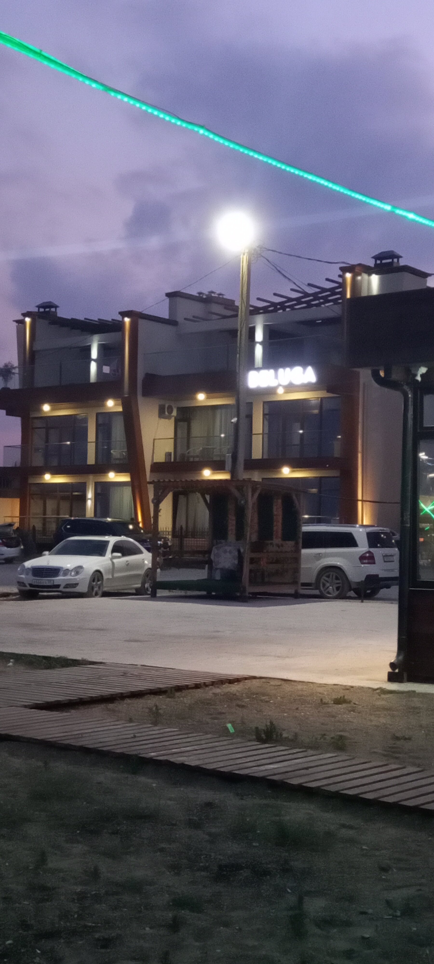 Фото Белуга