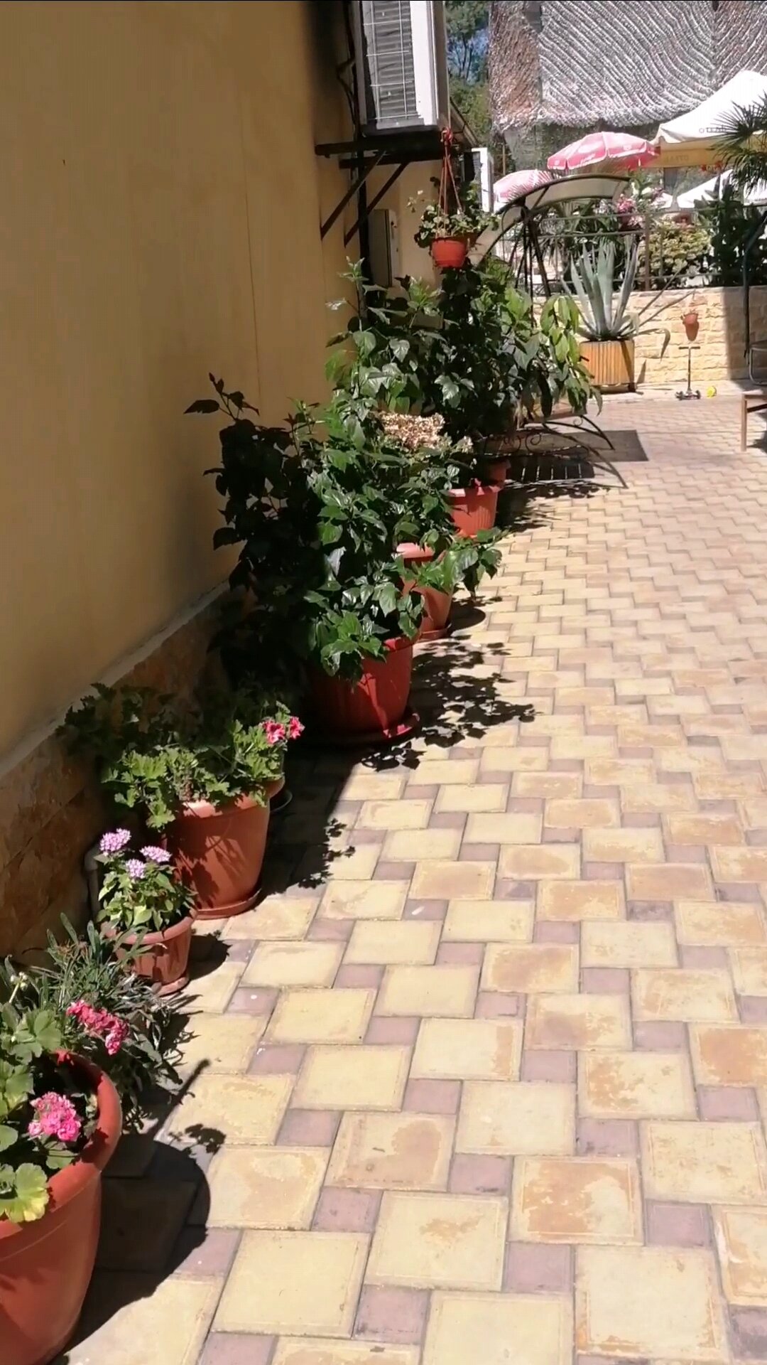 Фото Гостиница Диана