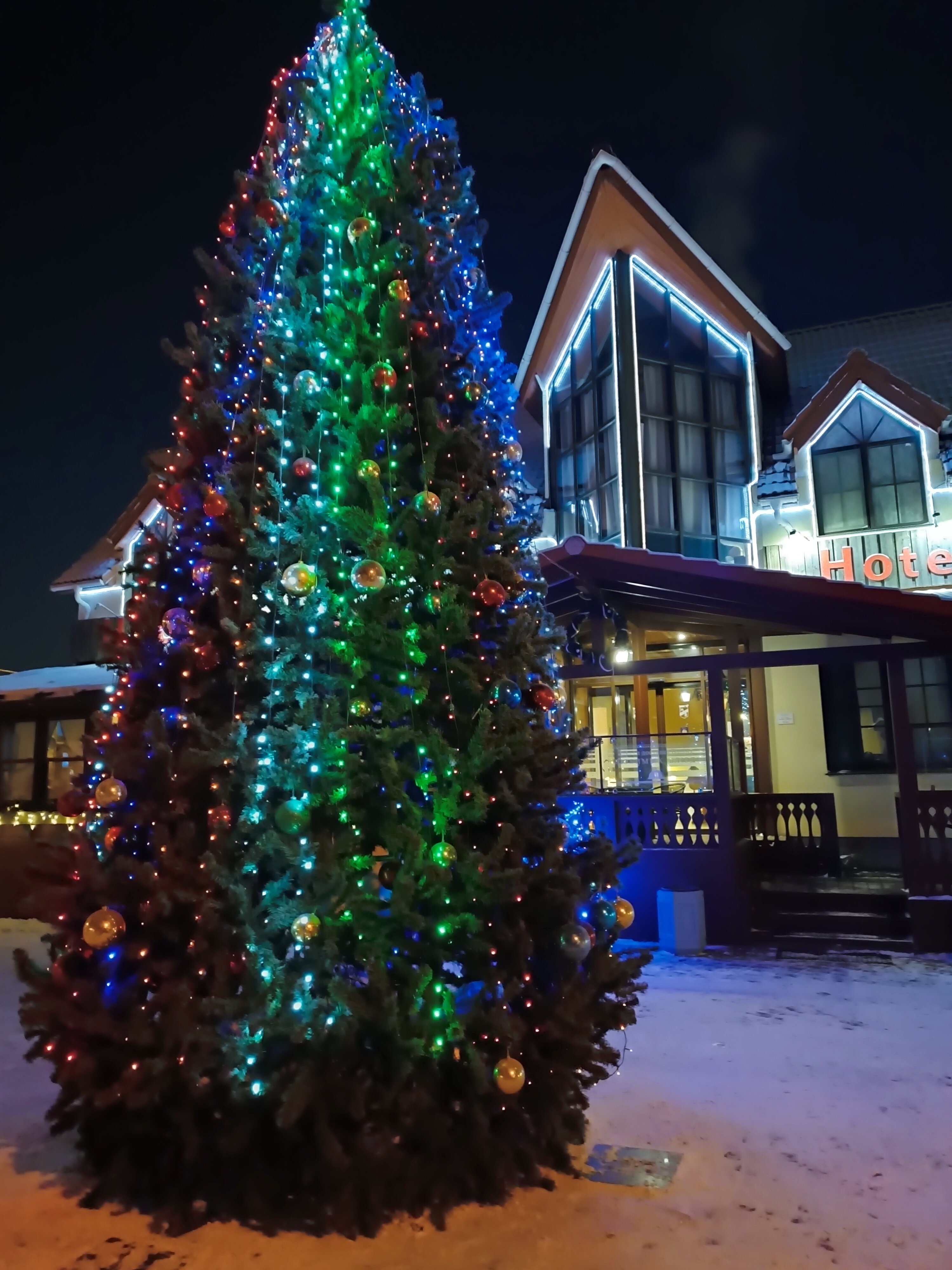 Фото Спа-отель Хойригер