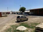 Griffon Plus (Bukhara), alcoholic beverages wholesale