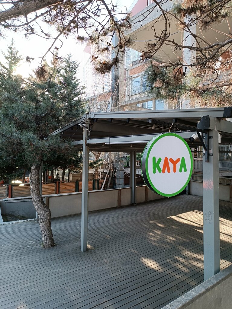 Grocery Kaya Market, Istanbul, photo