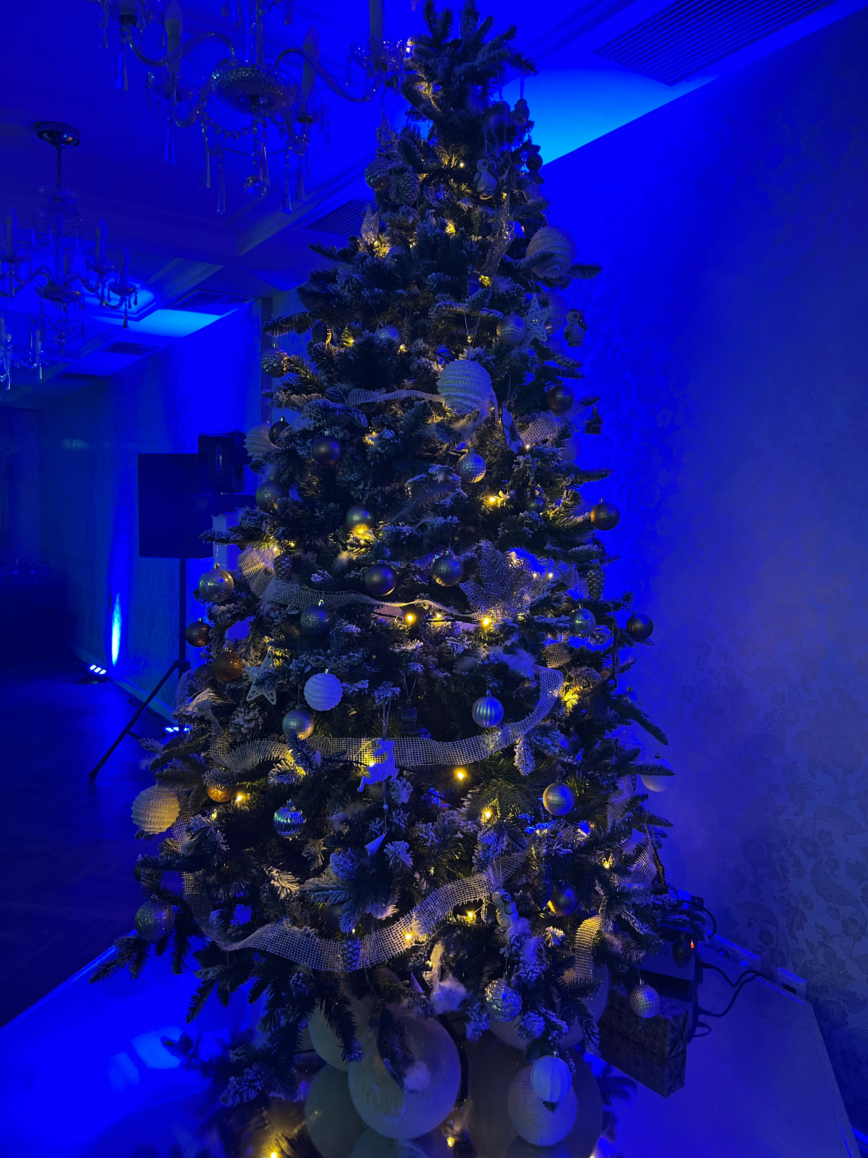 Фото Евразия