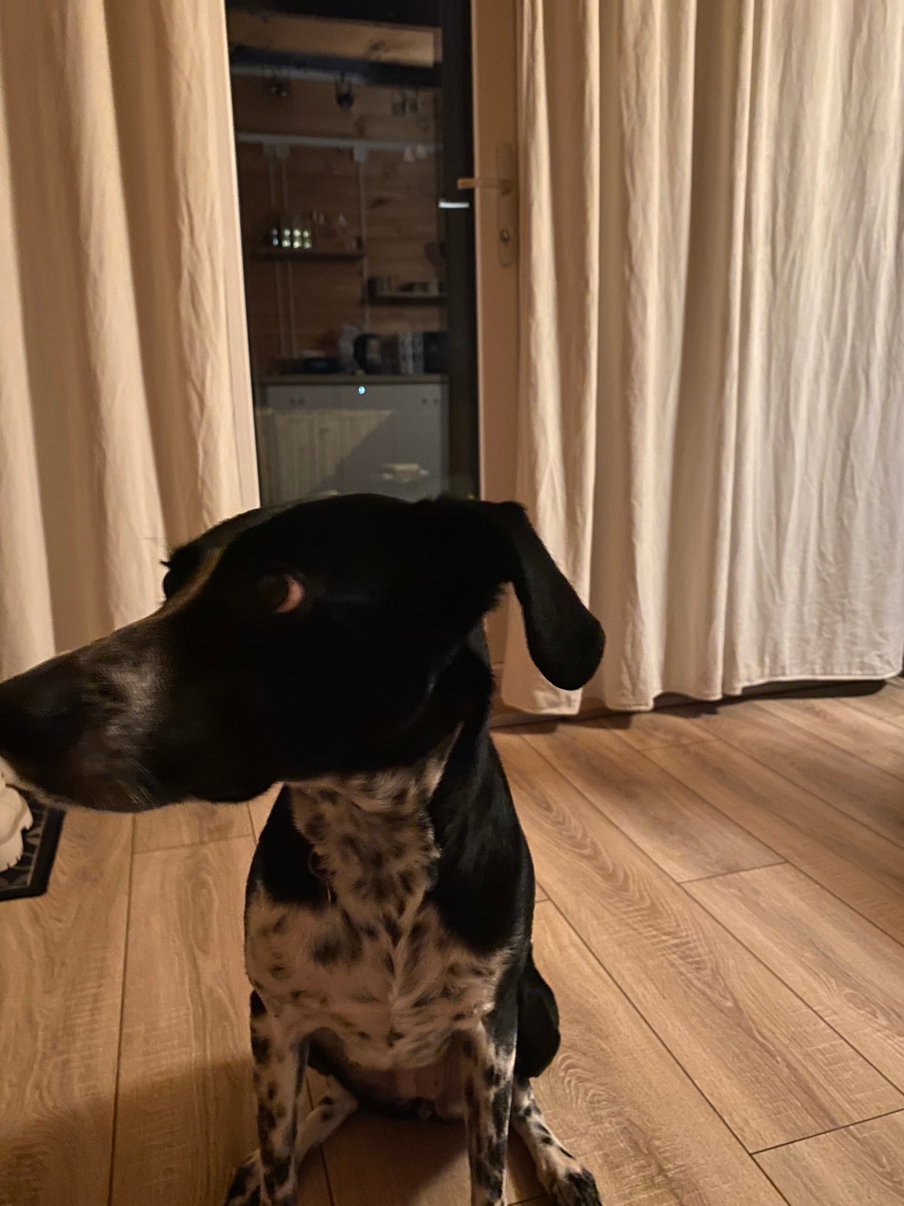 Фото Veksa frame