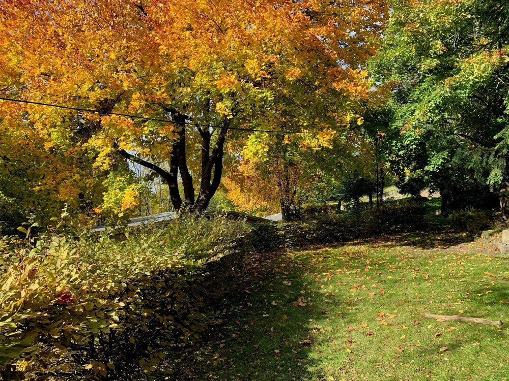 Фото Villa Frieden Hotel & Seminarhaus