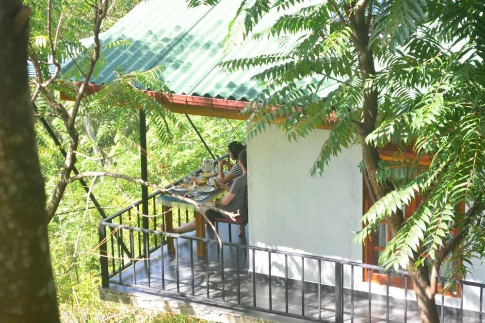 Фото Cloudy Hill Cottage