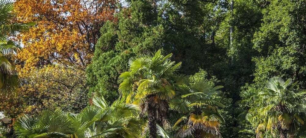 Фото E-Rooms Minusio