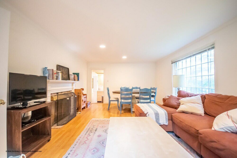 Фото Puffin Rock - New 2022!